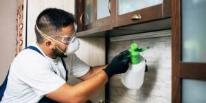 Why Regular Pest Inspections in Sydney Save You Money