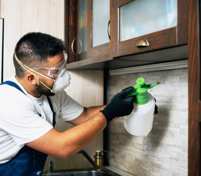 Why Regular Pest Inspections in Sydney Save You Money