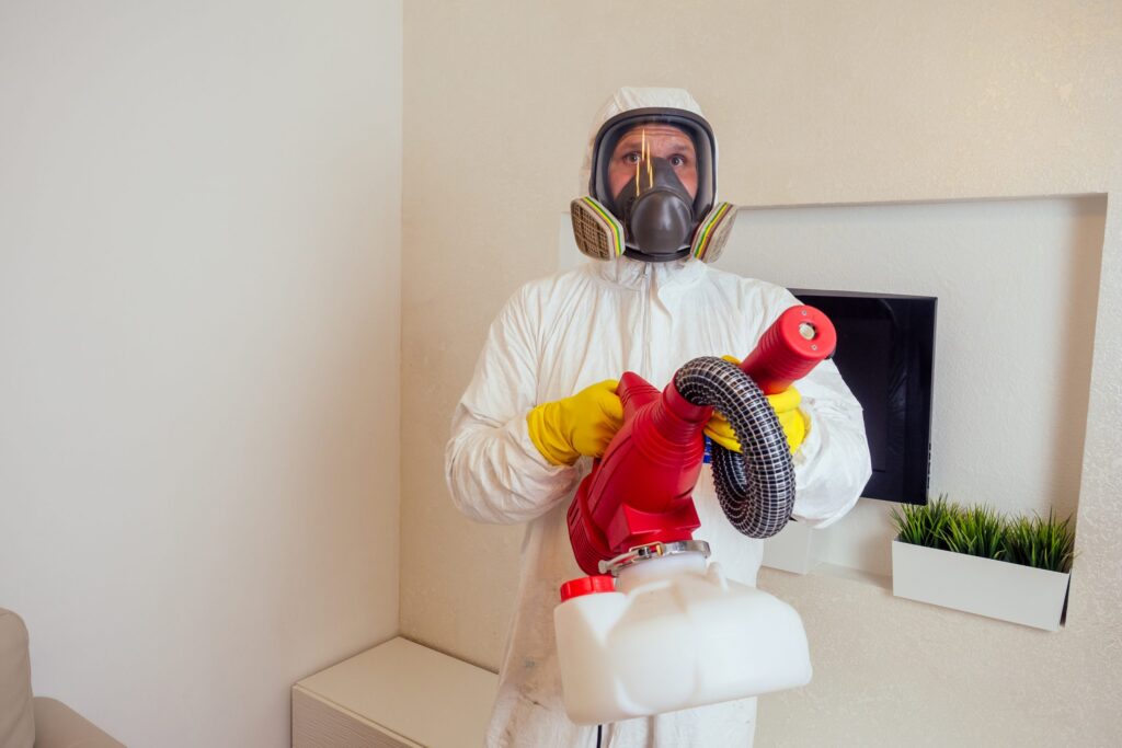 Why Regular Pest Inspections in Sydney Save You Money