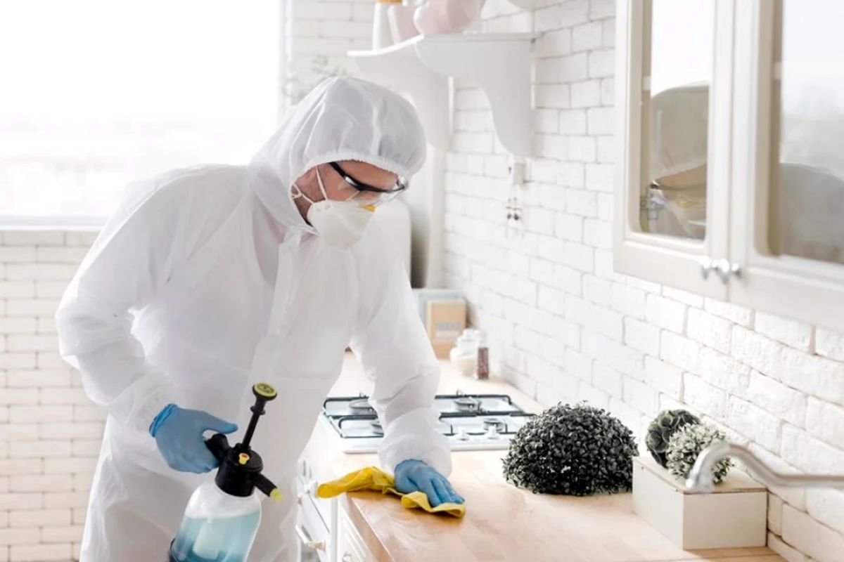 Pest Control Strathfield